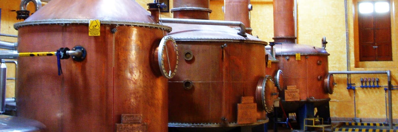 Rpaisaje-agavero-e-instalaciones-industriales-antiguas-de-tequila